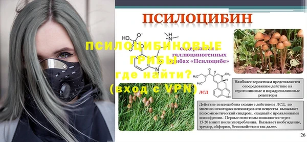 apvp Верея
