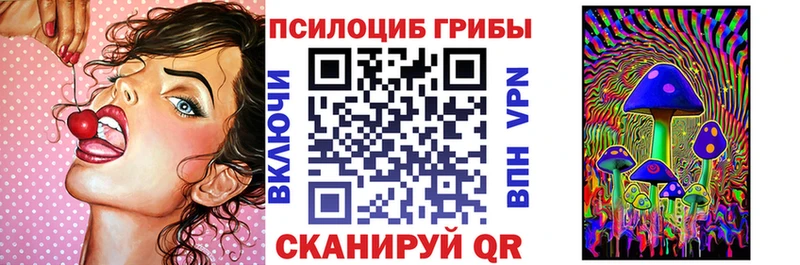 Галлюциногенные грибы Cubensis  Купить  Мариинский Посад 